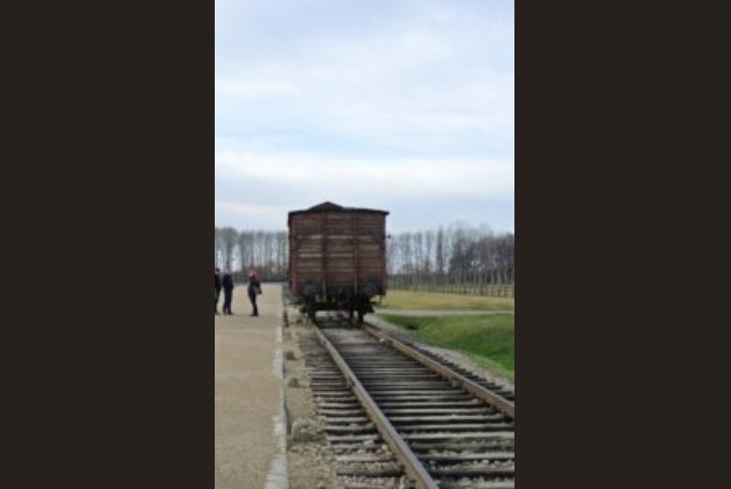 Train on train tracks at Auschwitz