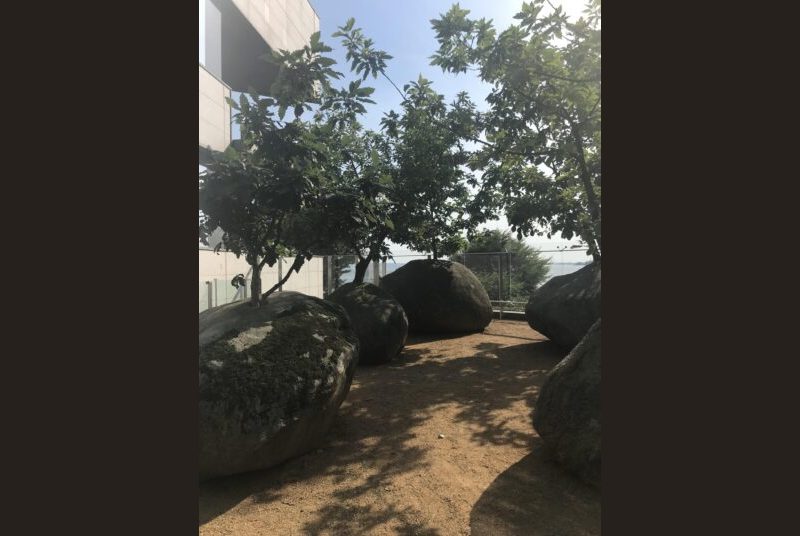 Outside museum area with large boulders and trees