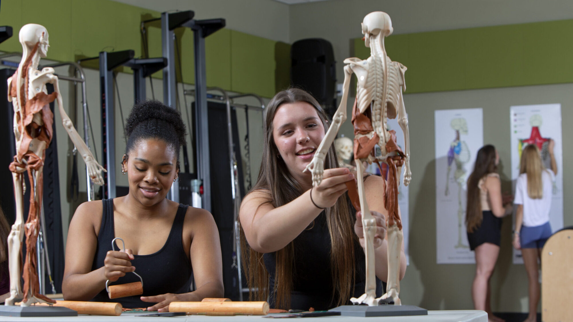 College students work with skeletal models in a dance science class.