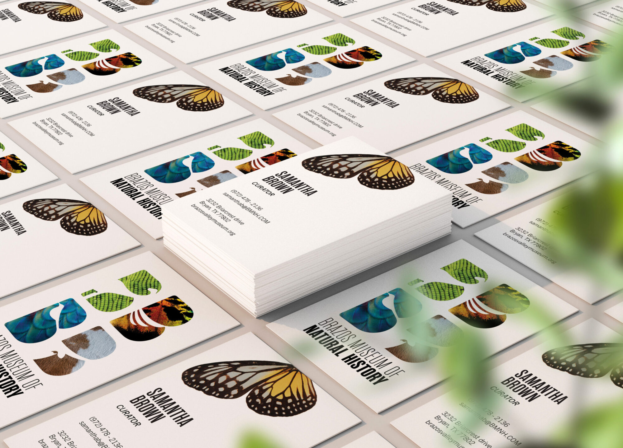 A variety of printed materials using butterfly imagery.