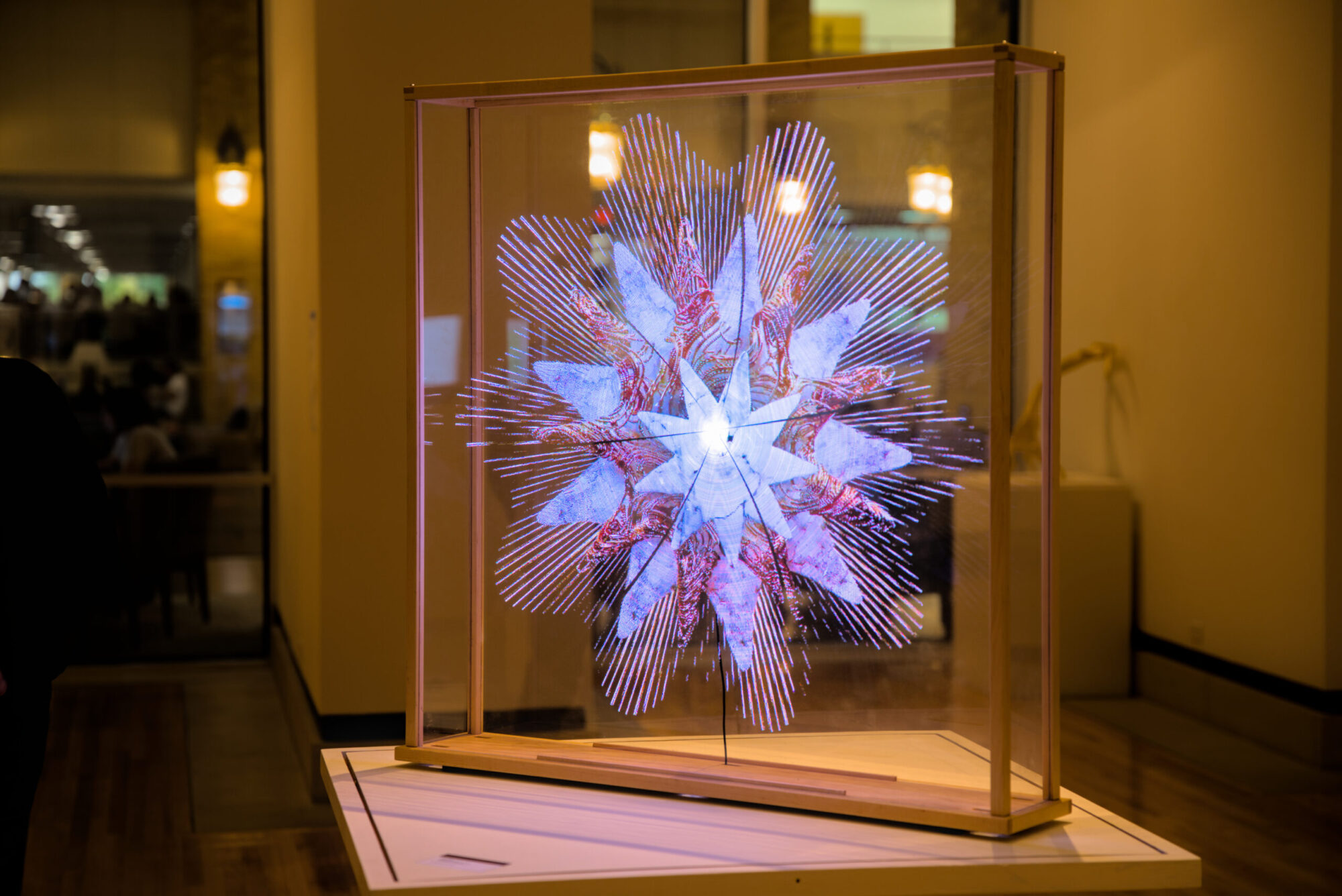 A holographic artwork piece in a glassbox depicting a star wheel figure.