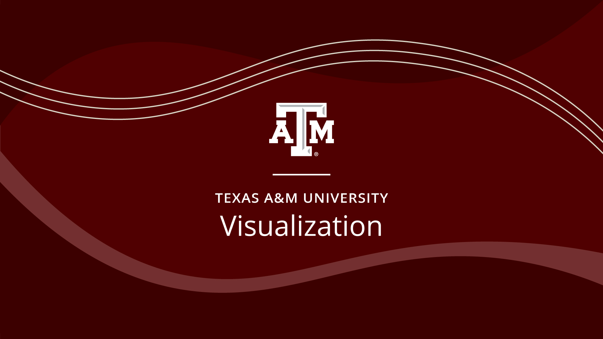 Maroon graphic with the Texas A&M logo and the words "Texas A&M University Visualization"