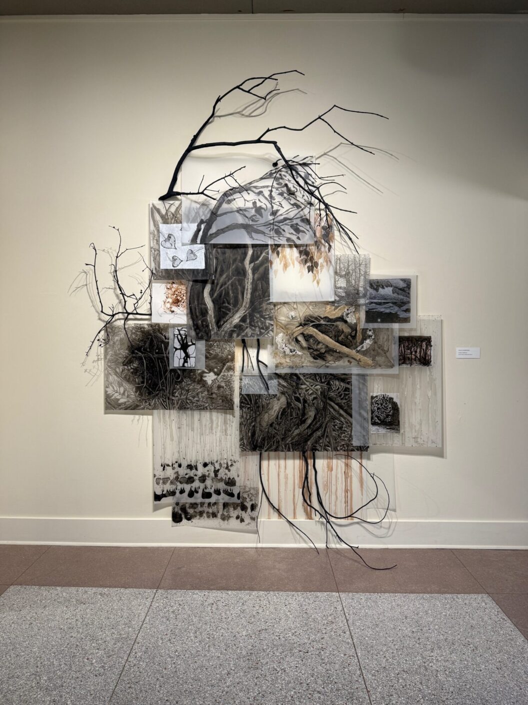 A collection of artwork hangs on a wall featuring dead tree branches and leaves.