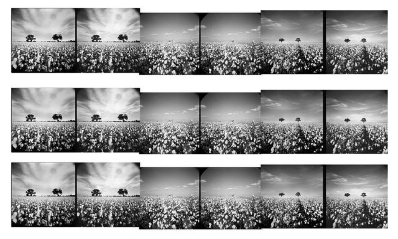 Black and white stereo pinhole photography of the Brazos River bottom