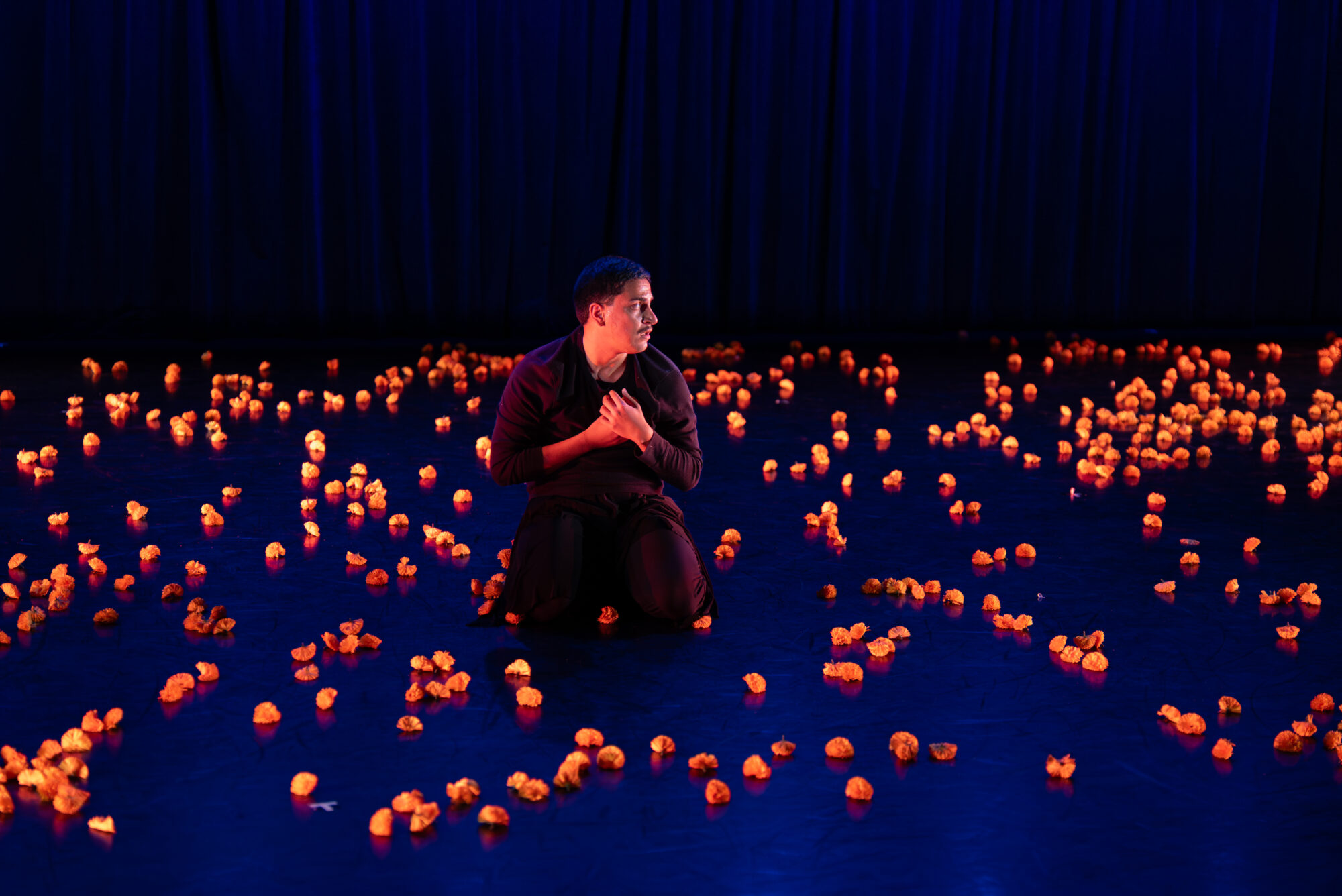 A university dance student kneels during his dance performance surrounded by flower petals on the dance floor.