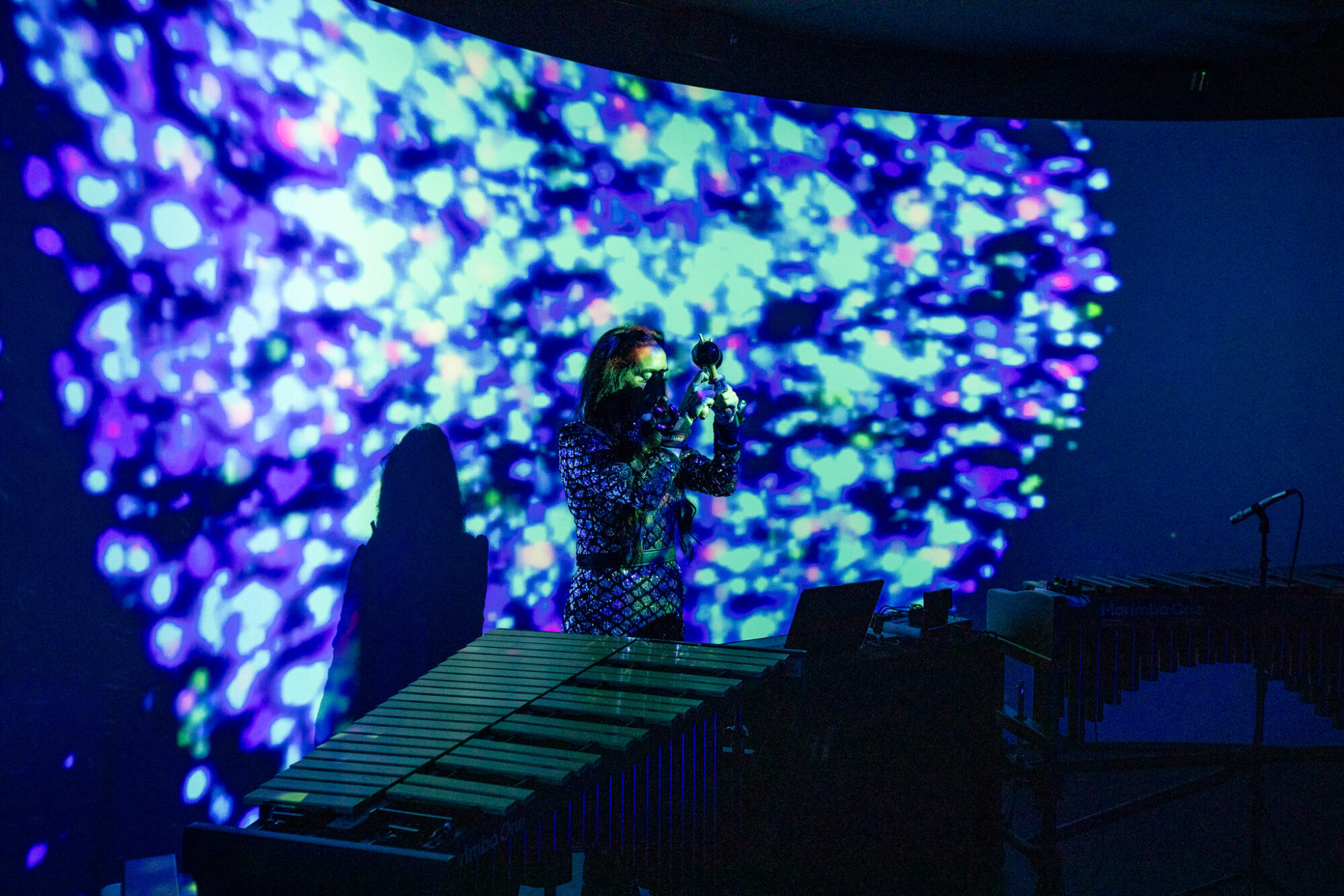 A musician in front of a projected pattern that is influenced by her movements